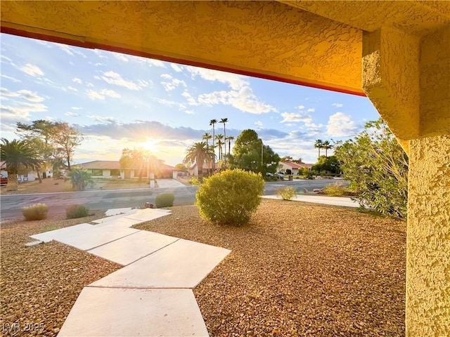 view of yard featuring a patio