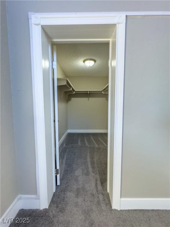 walk in closet featuring dark carpet