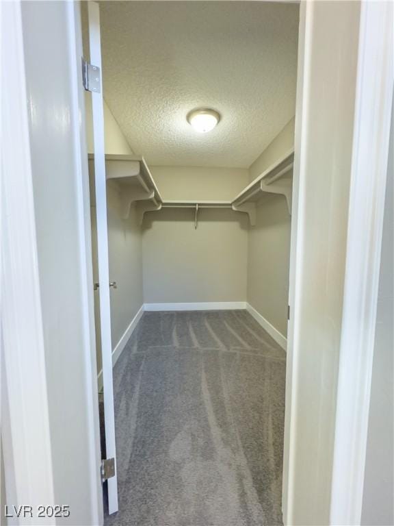 spacious closet featuring dark colored carpet