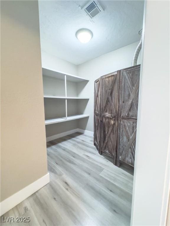 spacious closet with light wood-type flooring