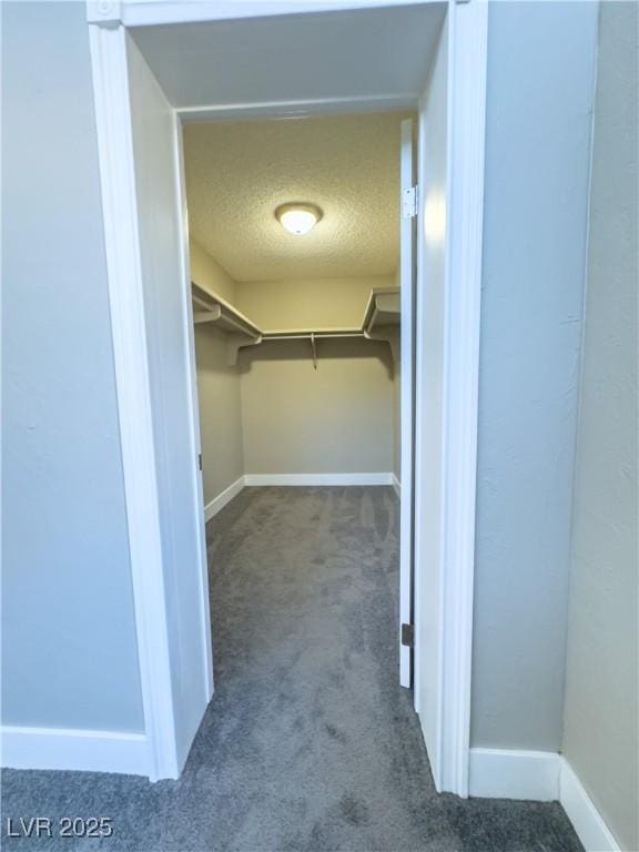 spacious closet with carpet