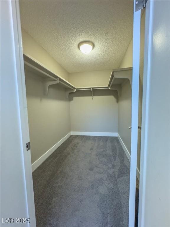 spacious closet featuring dark colored carpet