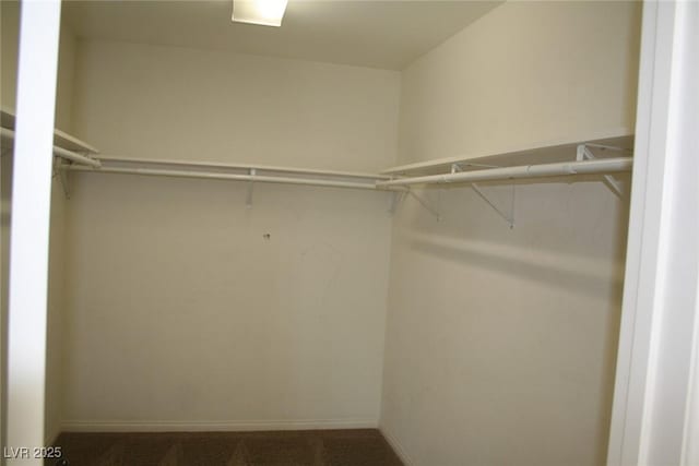 spacious closet with dark carpet