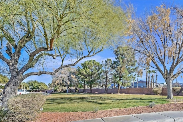 view of community featuring a yard