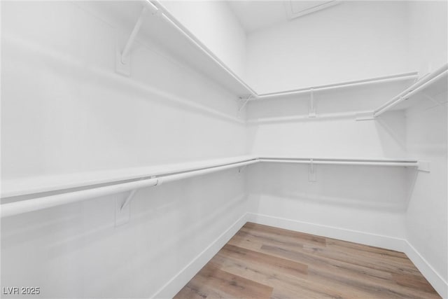 spacious closet with hardwood / wood-style floors