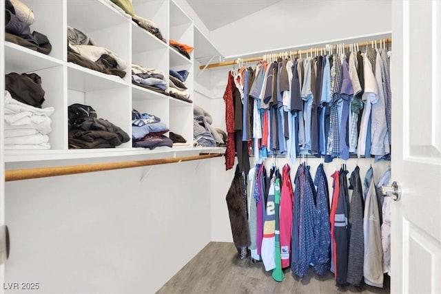 spacious closet featuring wood-type flooring