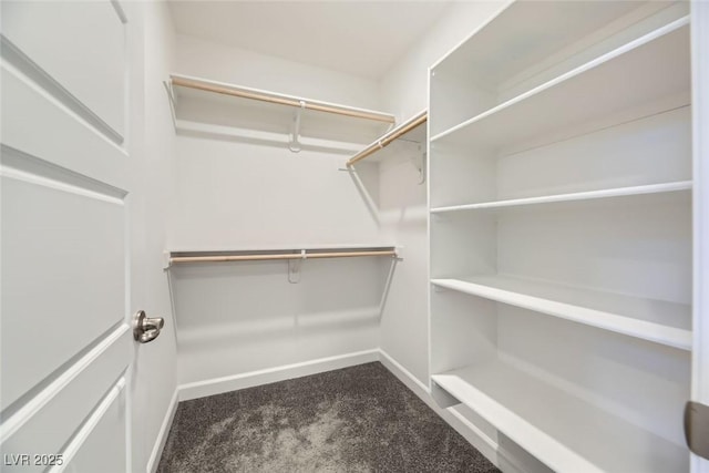 spacious closet with carpet floors