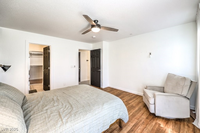 bedroom with ceiling fan, a walk in closet, a closet, and wood-type flooring