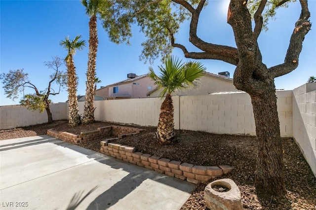 view of yard featuring a patio