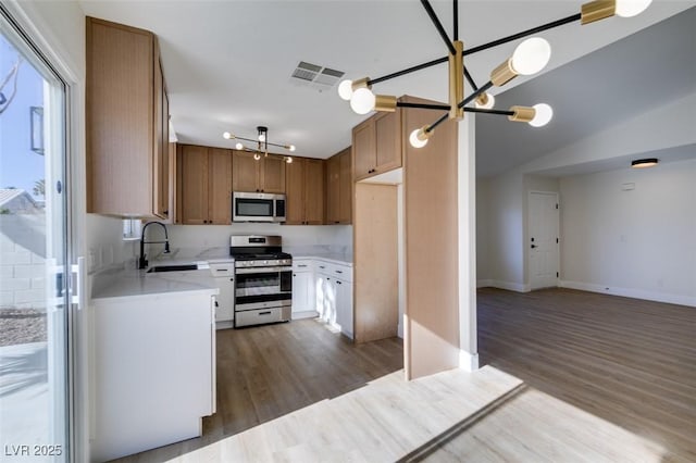 kitchen with sink, wood-type flooring, lofted ceiling, and stainless steel appliances