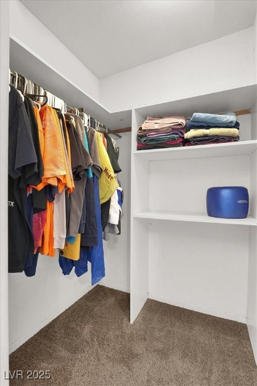 spacious closet with carpet