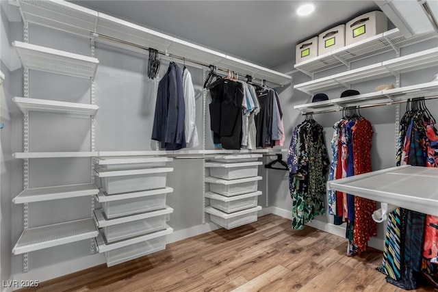 walk in closet featuring wood-type flooring