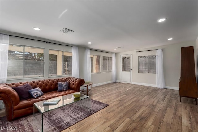 living room with wood-type flooring