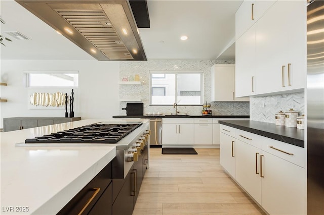 kitchen featuring sink, white cabinets, stainless steel appliances, and custom exhaust hood