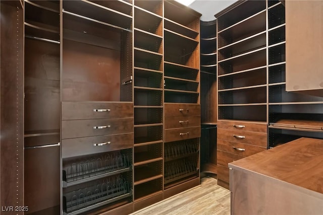 walk in closet with hardwood / wood-style flooring