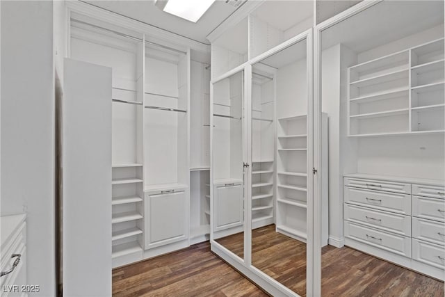 walk in closet with dark hardwood / wood-style flooring