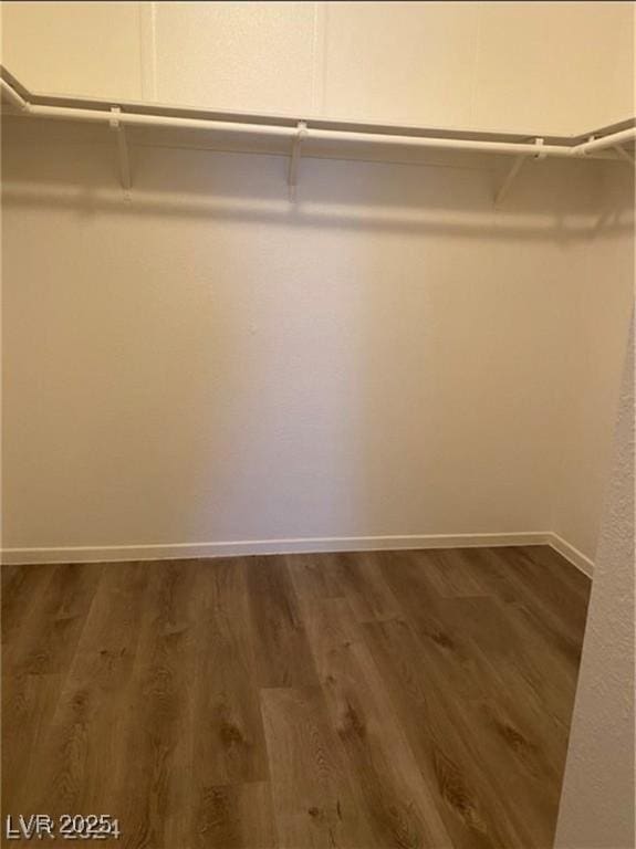 walk in closet featuring dark hardwood / wood-style floors