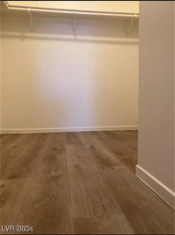 spacious closet featuring wood-type flooring