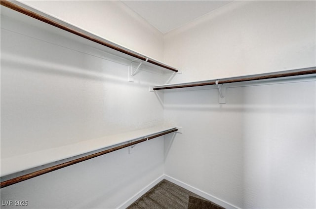 walk in closet with carpet