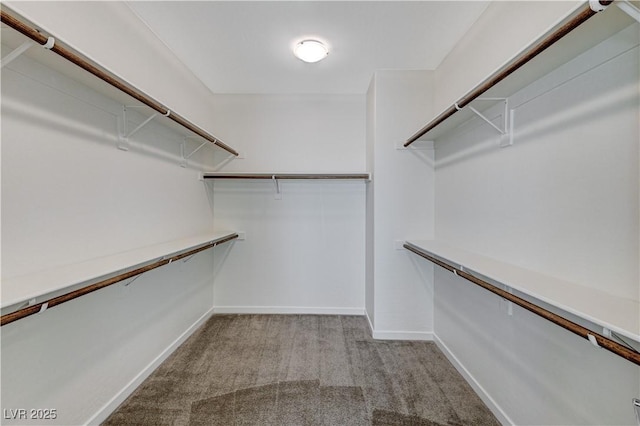 spacious closet with light carpet