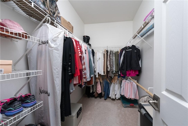 walk in closet with carpet flooring