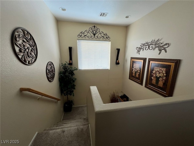 stairs with carpet floors