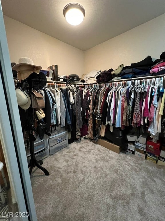 walk in closet featuring carpet flooring