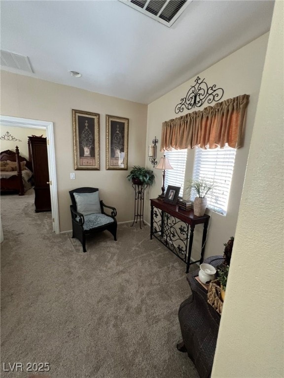 sitting room with carpet floors