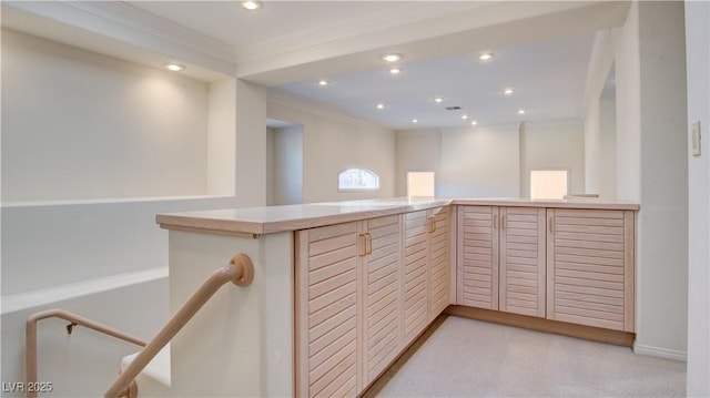 interior space with light carpet and ornamental molding