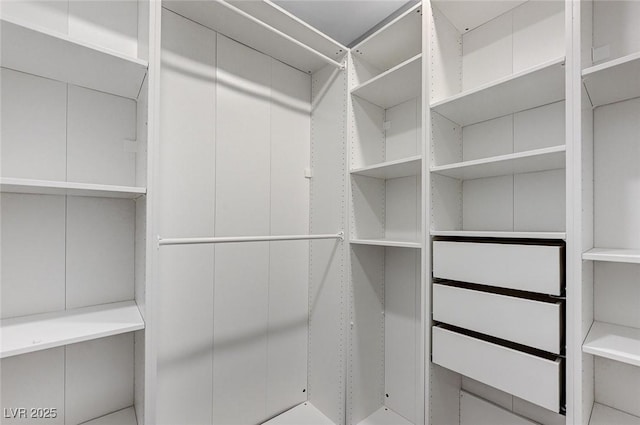 view of walk in closet