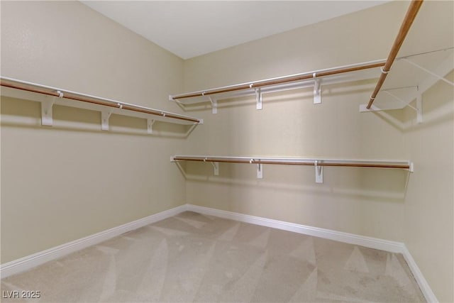 walk in closet with carpet floors