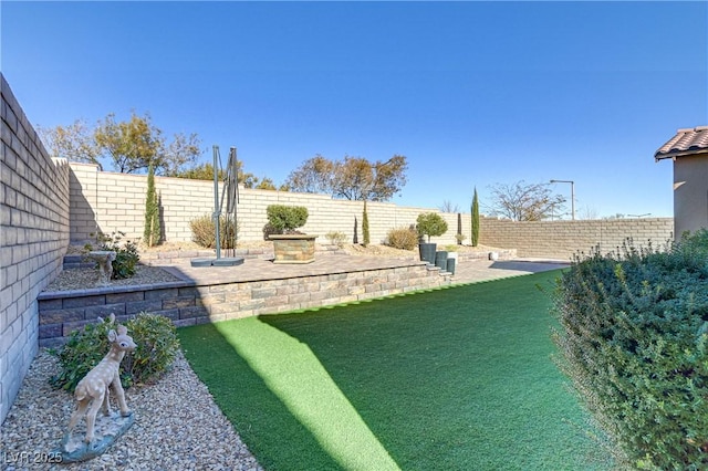 view of yard with a patio area