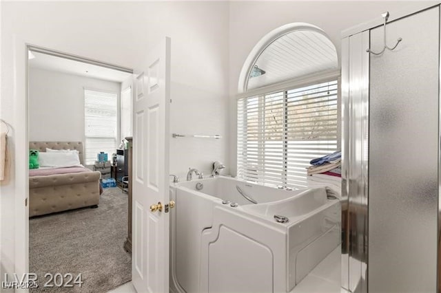 laundry area with light carpet and a healthy amount of sunlight