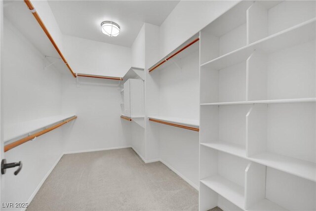 walk in closet featuring light carpet