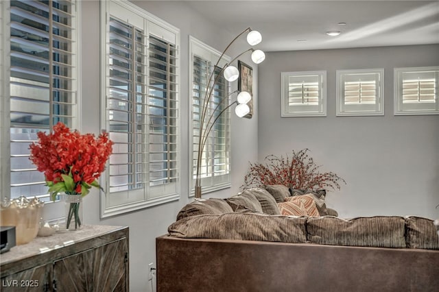 living room with a wealth of natural light