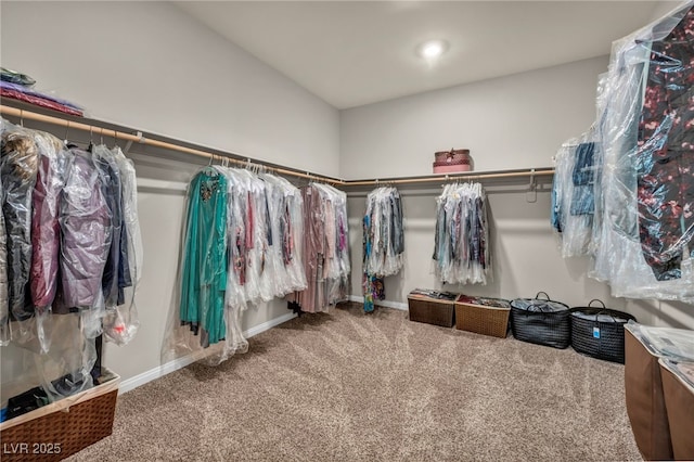 walk in closet featuring carpet