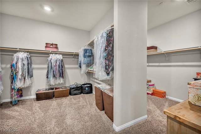 spacious closet featuring carpet