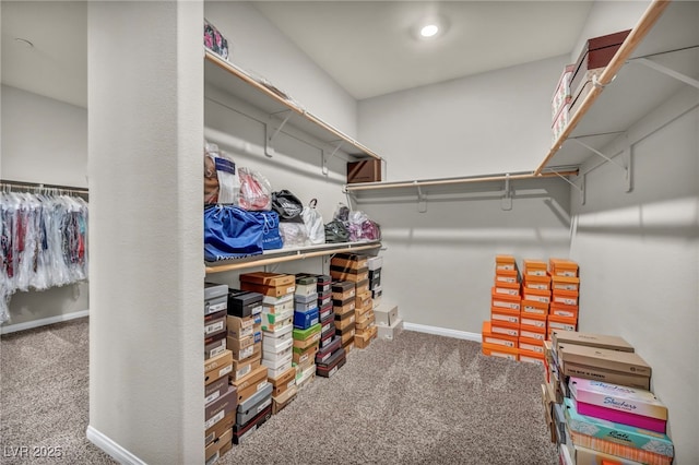 walk in closet with carpet