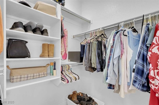 view of spacious closet