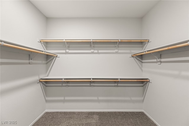 spacious closet with carpet flooring