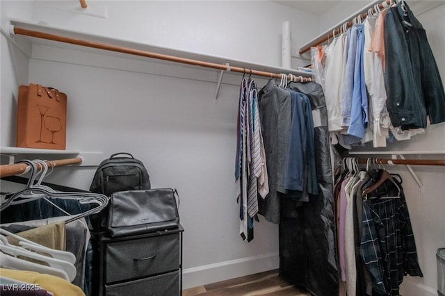 spacious closet with hardwood / wood-style flooring