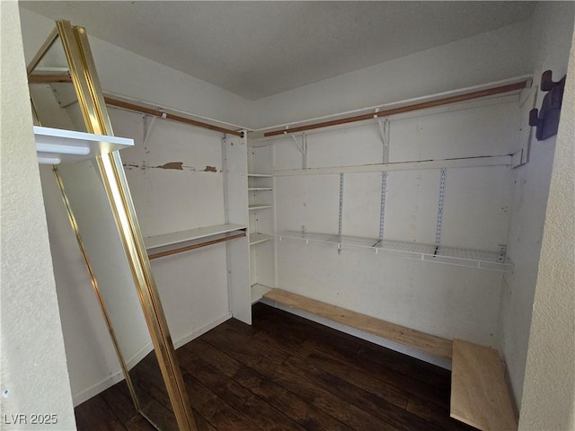 spacious closet featuring dark wood-type flooring