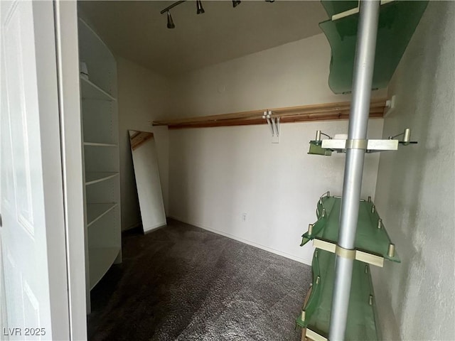 spacious closet featuring dark colored carpet