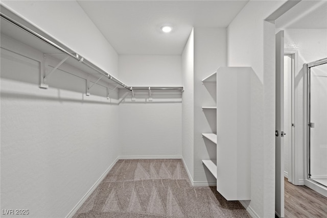 spacious closet featuring carpet floors