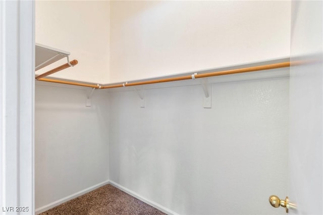 spacious closet featuring carpet flooring