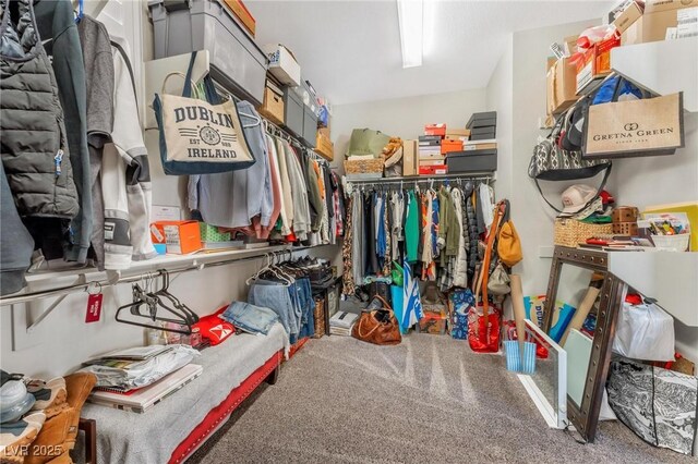 spacious closet with carpet flooring