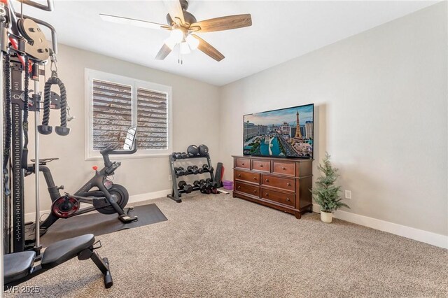 exercise area with ceiling fan and carpet