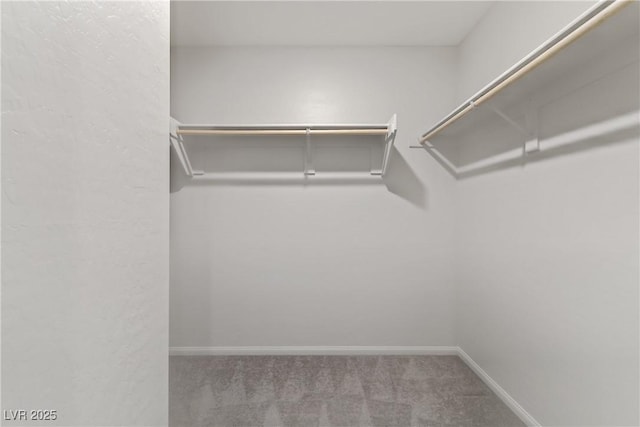 spacious closet with carpet