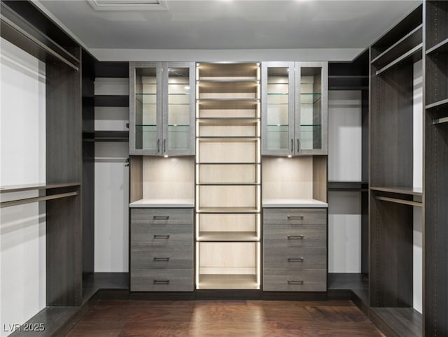 spacious closet with dark hardwood / wood-style floors