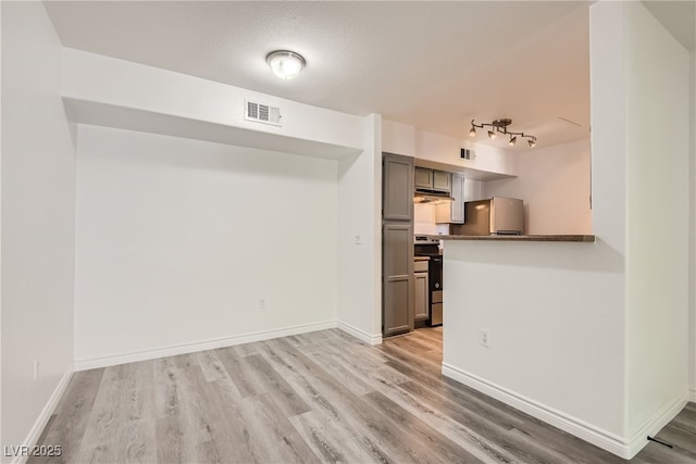 kitchen featuring light hardwood / wood-style floors, kitchen peninsula, gray cabinets, stainless steel appliances, and a textured ceiling